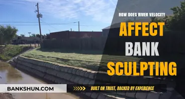 River Velocity's Impact on Bank Sculpting: Erosion Dynamics Explained