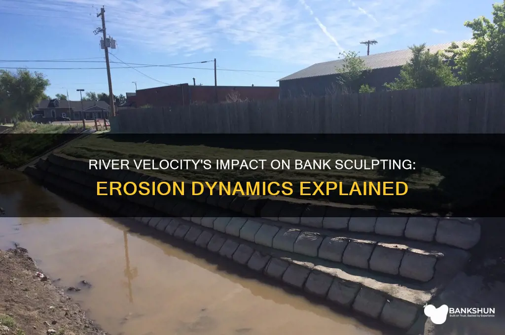 how does river velocity affect bank sculpting