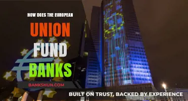 EU Bank Funding: Mechanisms, Sources, and Financial Stability Explained