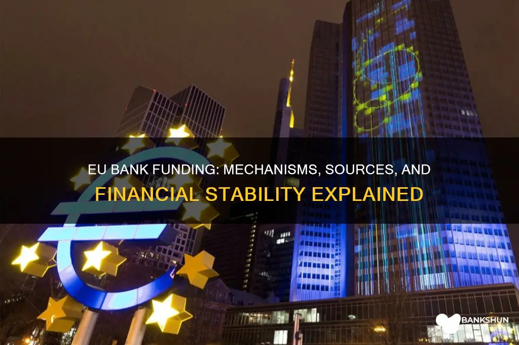 how does the european union fund banks