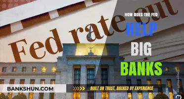 How the Federal Reserve Supports Big Banks: Key Mechanisms Explained
