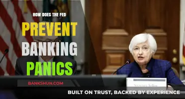 How the Federal Reserve Safeguards Banks Against Panic and Collapse