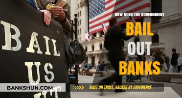 Understanding Government Bank Bailouts: Mechanisms, Impact, and Public Funds