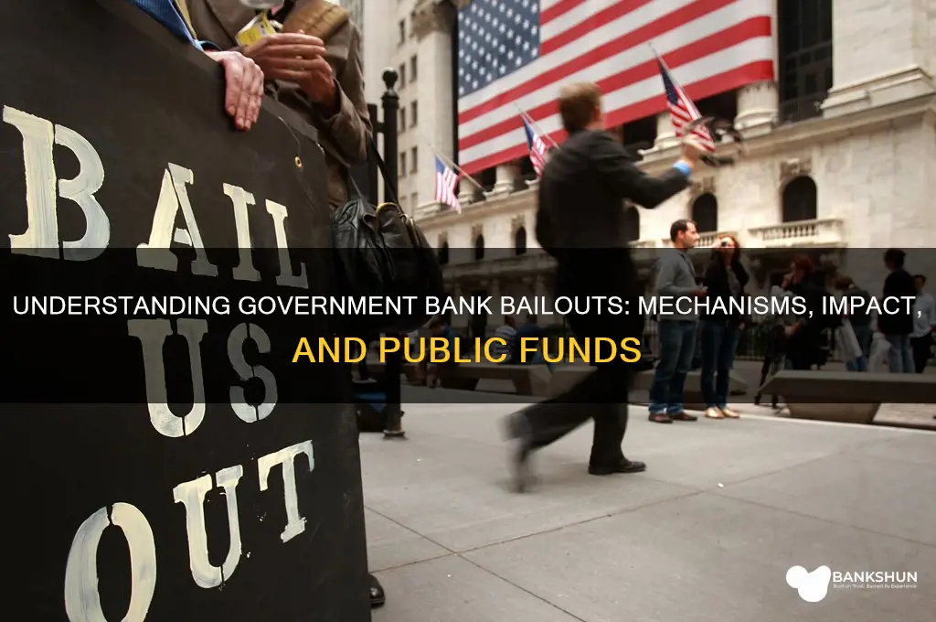 how does the government bail out banks
