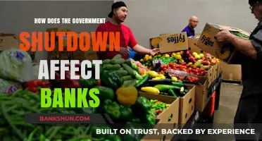 Government Shutdown Impact: How Banks Navigate Financial Uncertainty