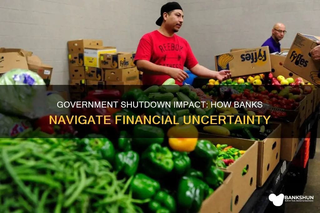how does the government shutdown affect banks