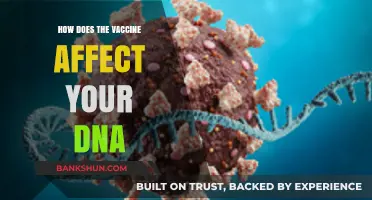 Vaccines and DNA: Separating Fact from Fiction in Genetic Impact