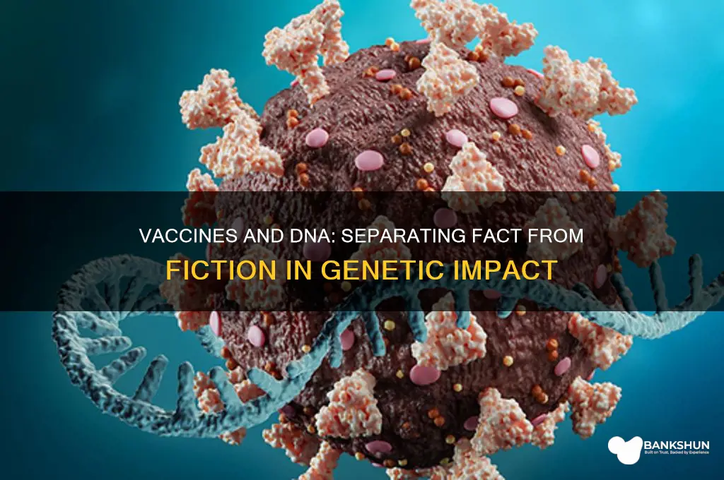 how does the vaccine affect your dna