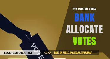 Understanding World Bank Voting Power Allocation and Decision-Making Process