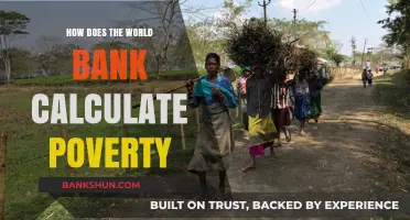 Understanding the World Bank's Methodology for Measuring Global Poverty