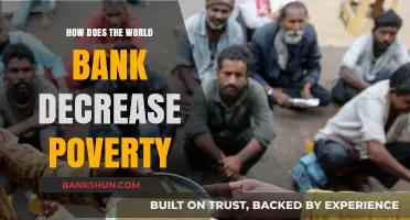 World Bank Strategies to Reduce Global Poverty Effectively