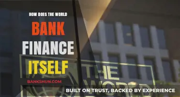 How the World Bank Funds Its Global Operations and Projects