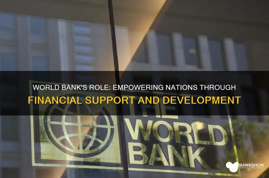 how does the world bank help countries