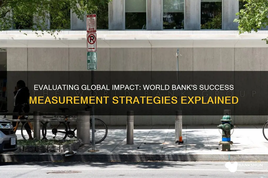 how does the world bank measure success