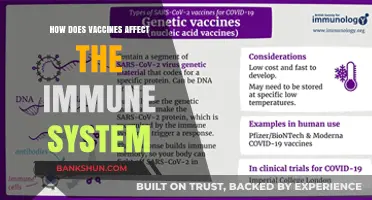 Vaccines and Immunity: Understanding Their Impact on the Immune System