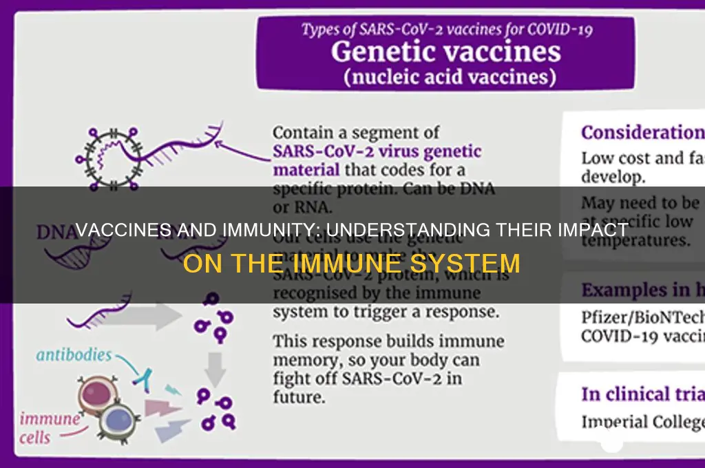 how does vaccines affect the immune system