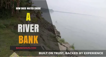Understanding Riverbank Erosion: How Water Shapes and Transforms Shorelines