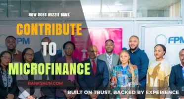 Wizzit Bank's Role in Empowering Microfinance and Financial Inclusion