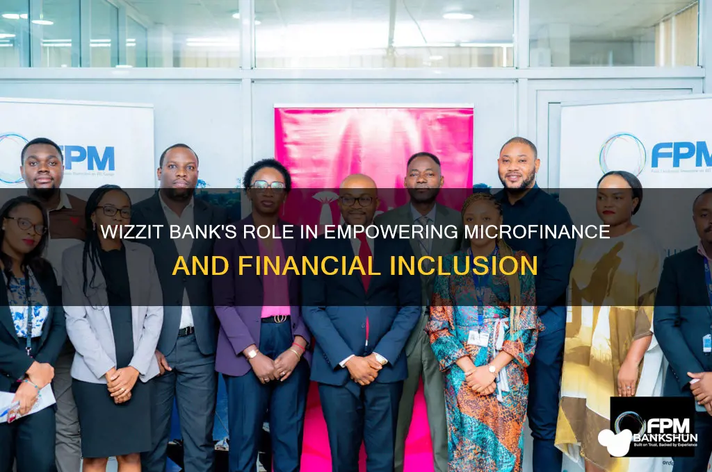 how does wizzit bank contribute to microfinance