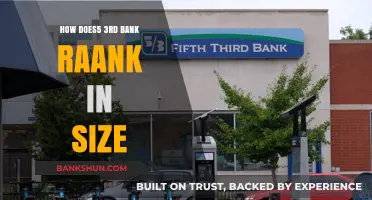 Third Bank's Size Ranking: Where Does It Stand in the Industry?