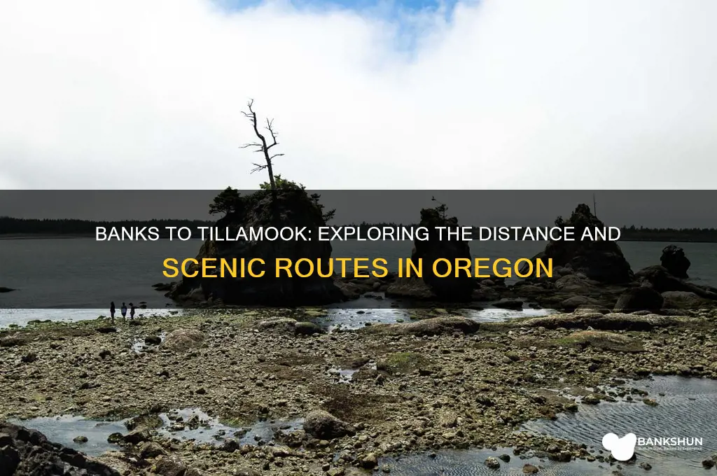 how far from banks to tillimook oregon