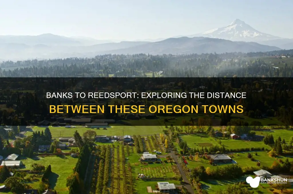 how far is banks or from reedsport