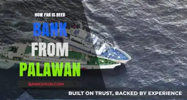 Reed Bank's Distance from Palawan: A Comprehensive Geographical Overview