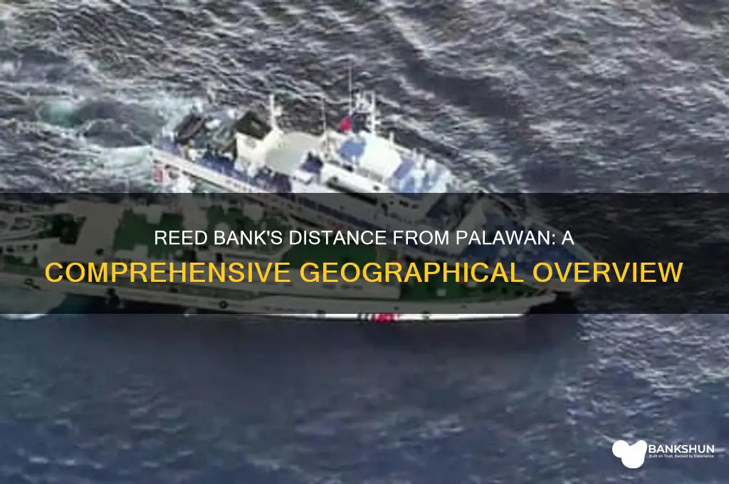 how far is reed bank from palawan