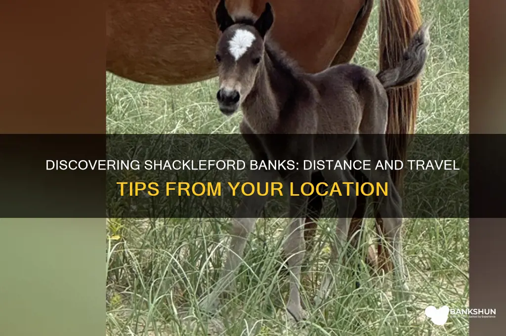 how far is shackleford banks from me