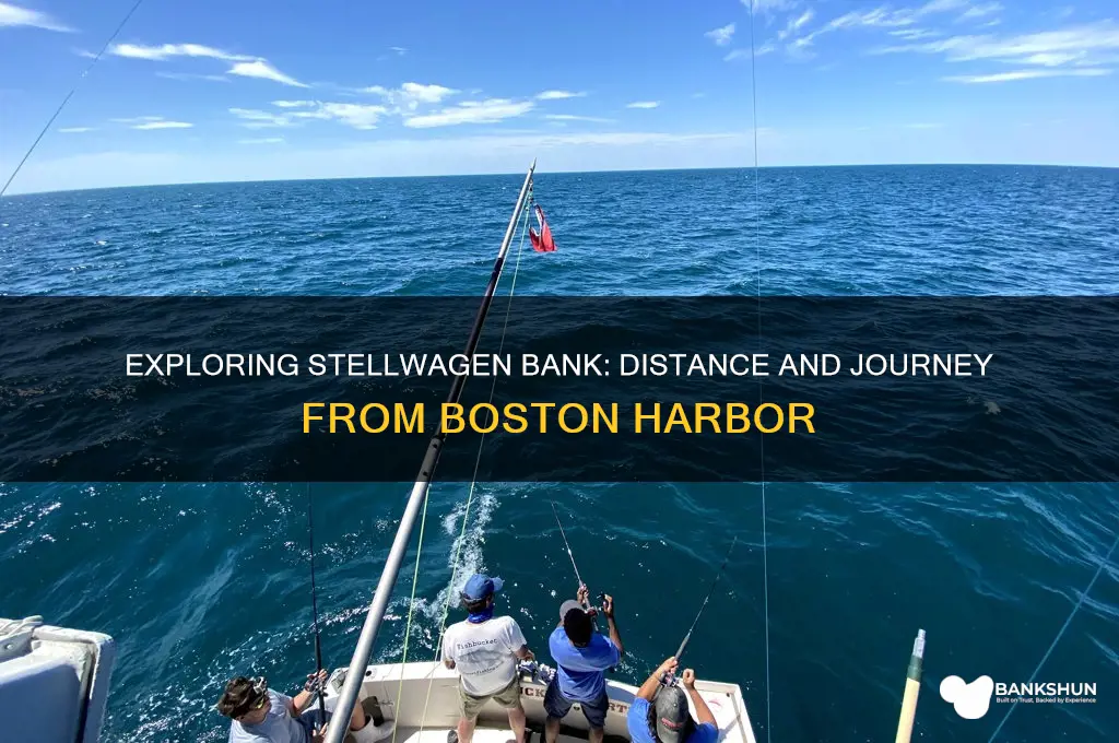 how far is stellwagen bank from boston