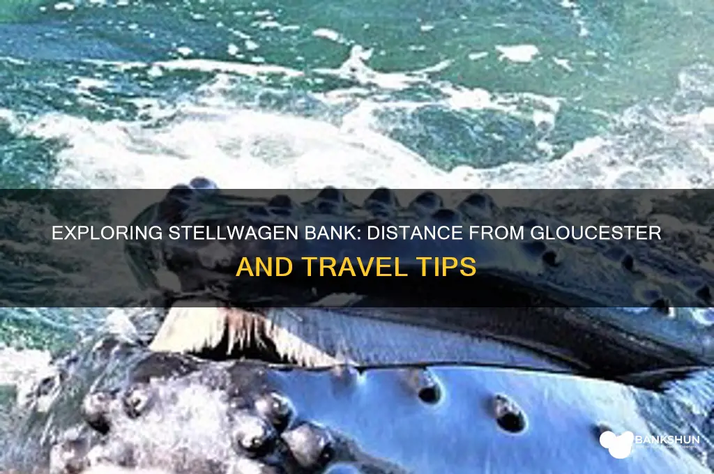 how far is stellwagen bank from gloucester
