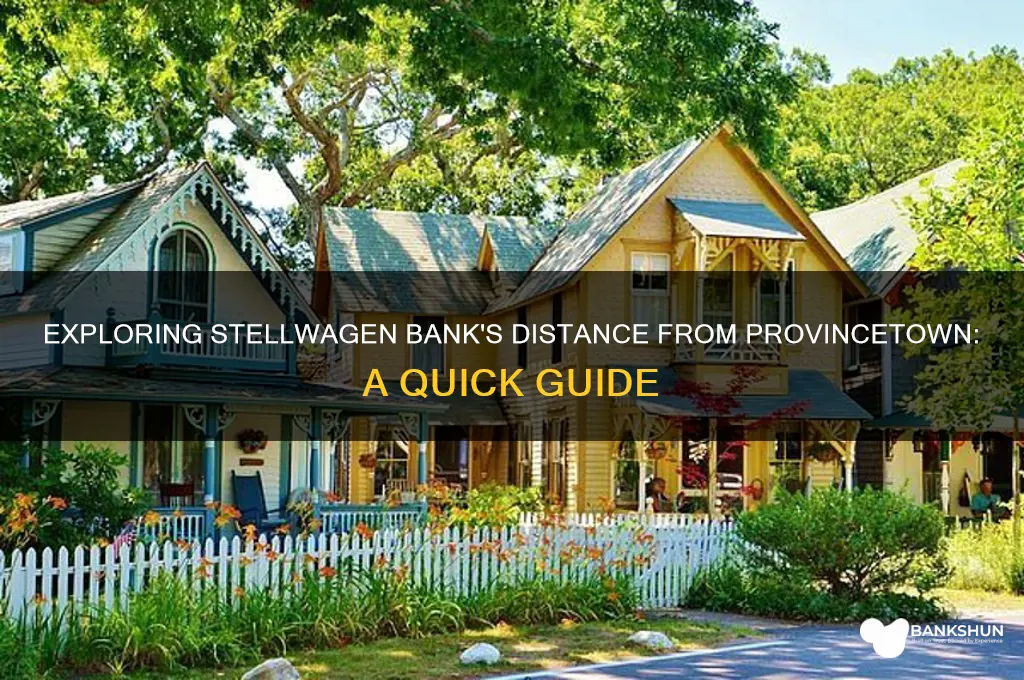 how far is stellwagen bank from provincetown