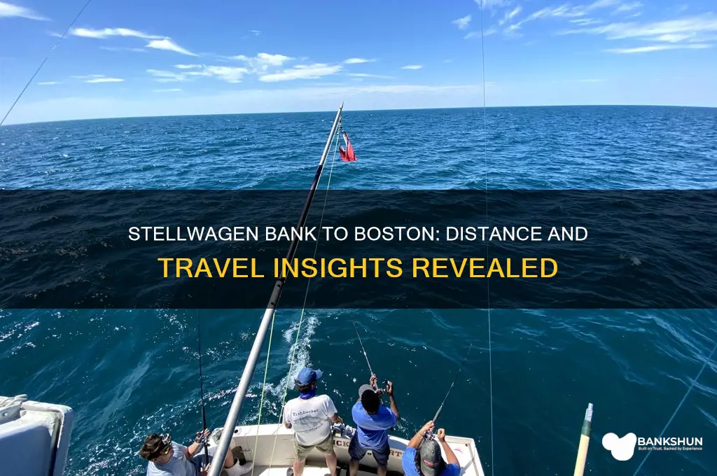 how far is stellwegon bank from boston
