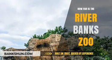 Exploring Riverbanks Zoo: Distance, Directions, and Travel Tips