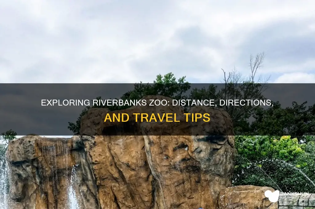 how far is the river banks zoo