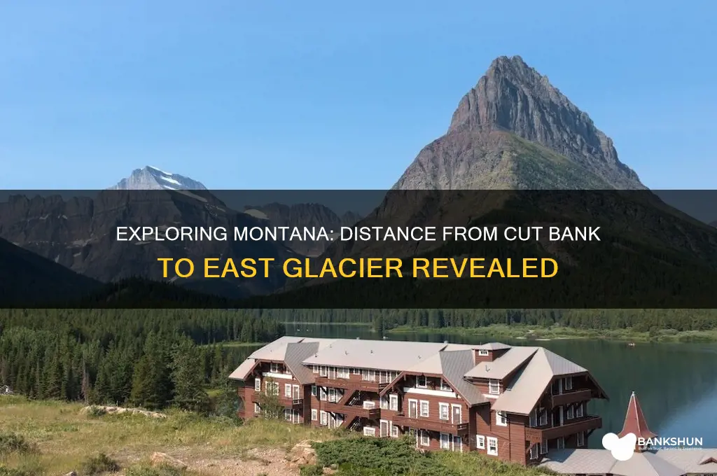 how far iseast glacier from cut bank