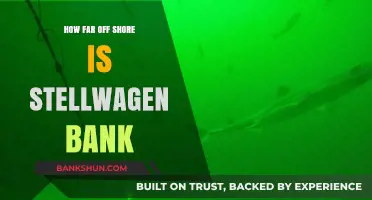 Exploring Stellwagen Bank: Distance from Shore and Marine Life Insights