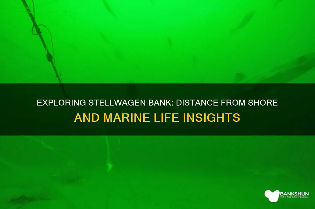 how far off shore is stellwagen bank
