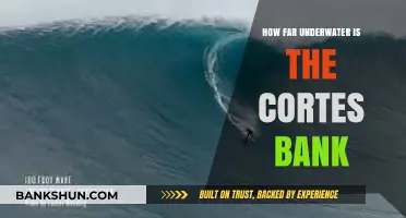 Exploring the Depths: How Far Underwater Lies Cortes Bank?