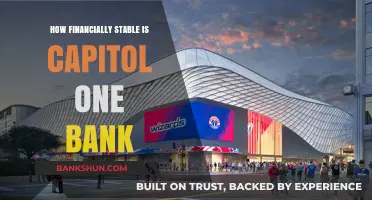 Assessing Capitol One's Financial Stability: A Comprehensive Bank Analysis