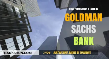 Is Goldman Sachs Bank Financially Secure? A Stability Analysis