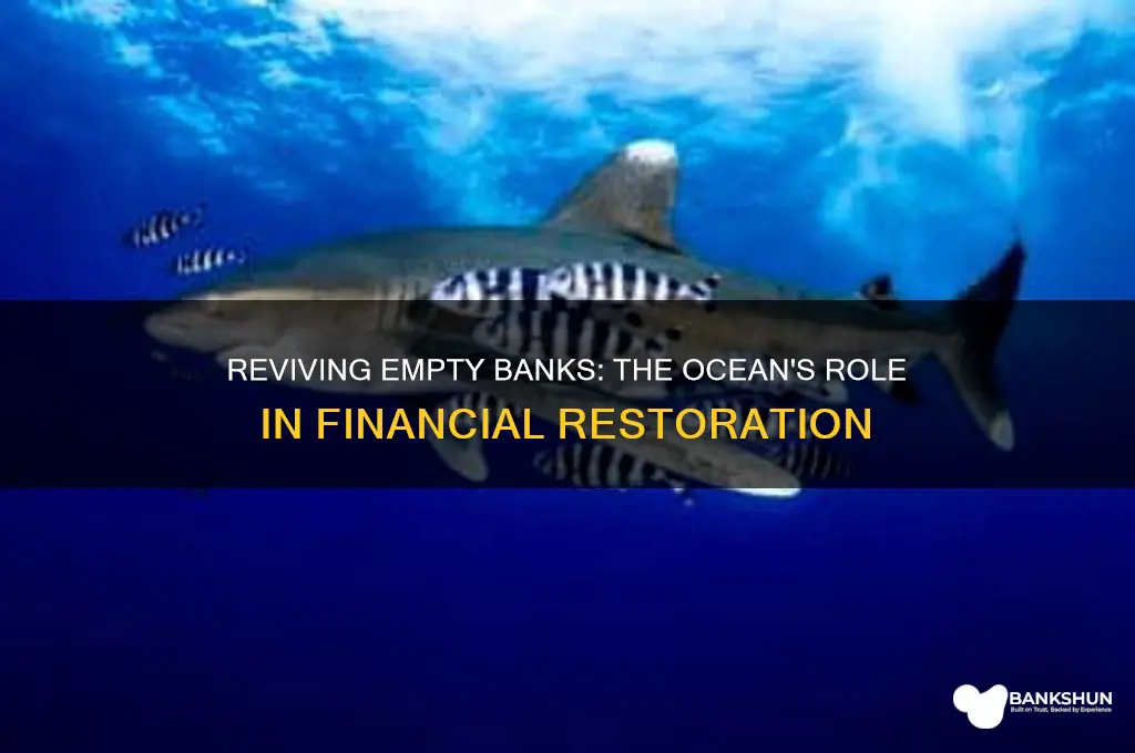 how fors an ocean fill empty bank