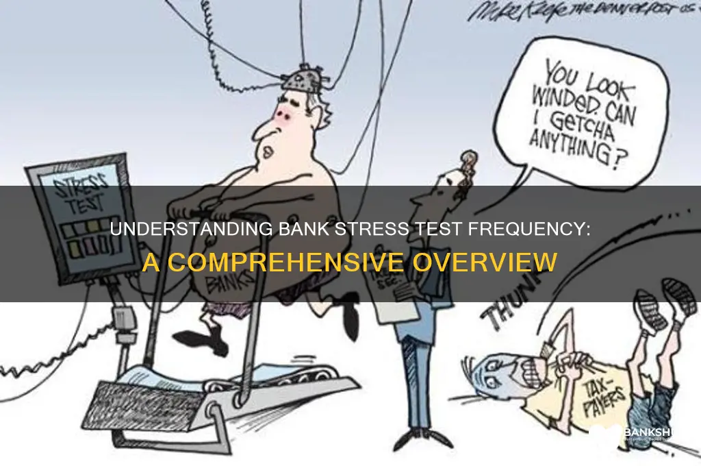 how frequently do banks undergo stress tests