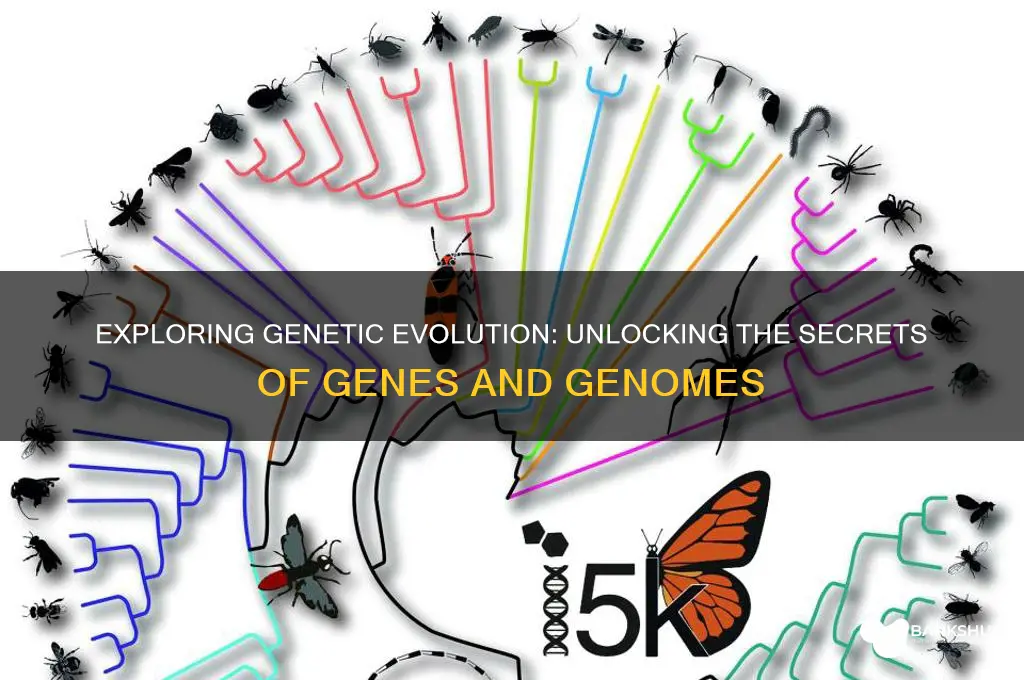 how genes and genomes evolve test bank