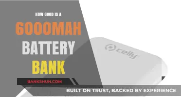 Is a 6000mAh Power Bank Sufficient for Your Needs?