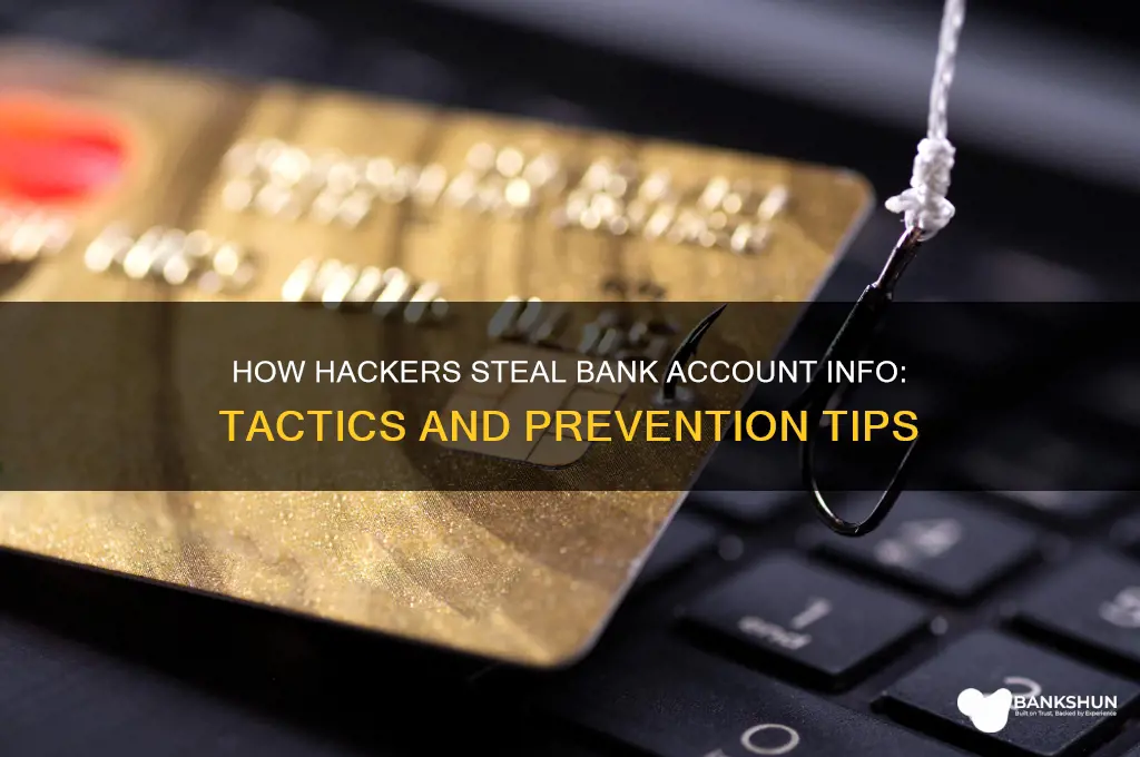 how hackes steal from bank acct info