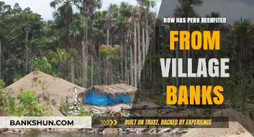 Empowering Peru: Village Banks' Impact on Rural Economic Growth