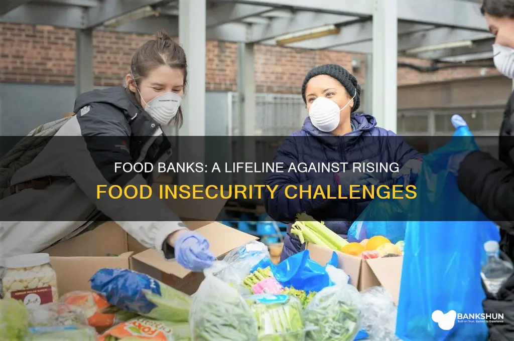 how have food banks impacted food insecurity