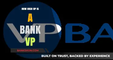 Bank VP Hierarchy: Understanding the Elevation of Vice Presidents