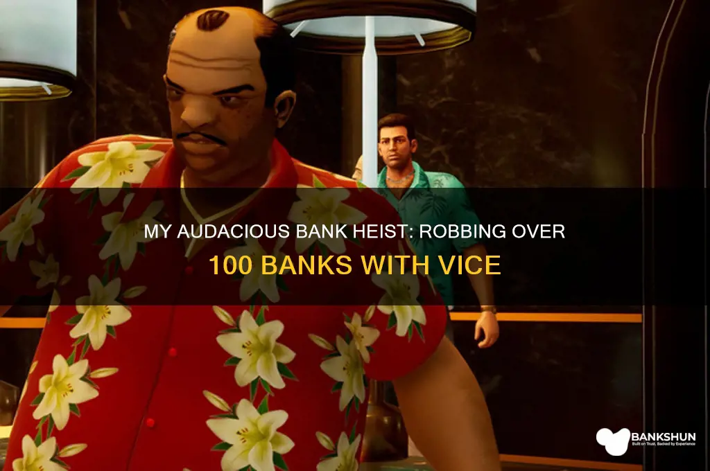 how i robbed over 100 banks vice